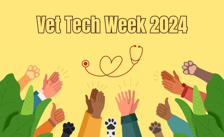 Vet Tech Week 2024