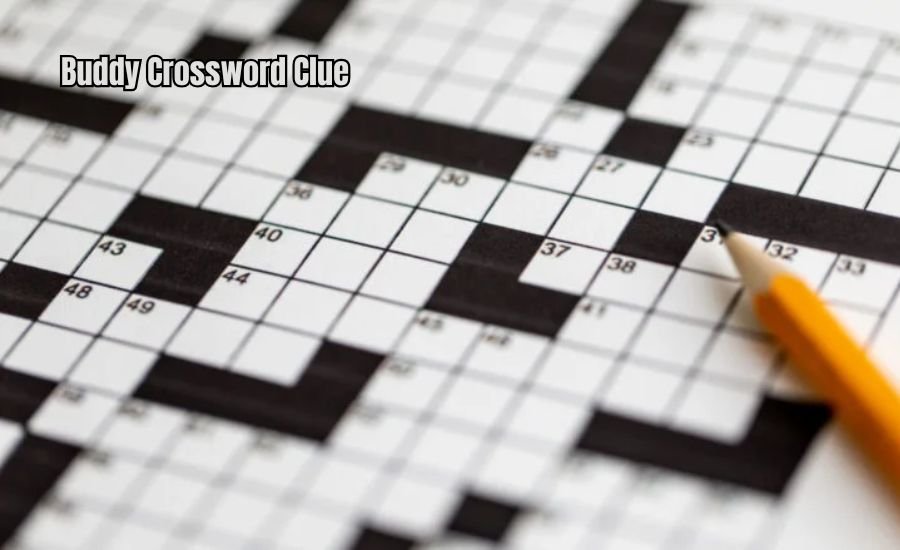 Buddy Crossword Clue